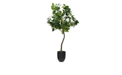 Kunstbaum Ficus