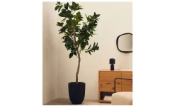 Kunstbaum Ficus