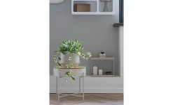 Kunstpflanze Nilla
