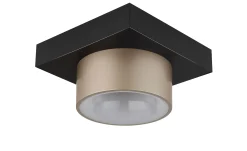 LED-Deckenleuchte Raymond 20 cm