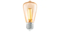 LED-Leuchtmittel 110054 E27