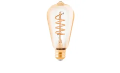 LED-Leuchtmittel 110083 E27