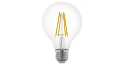 LED-Leuchtmittel 110023 E27