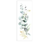 Leinwandbild Eucalyptusarrangement 30 x 80 cm
