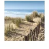 Leinwandbild Ostsee 30 x 30 cm