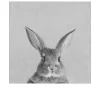 Leinwandbild Rabbit 30 x 30 cm