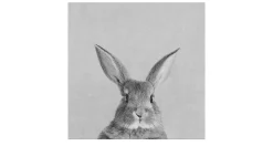 Leinwandbild Rabbit 30 x 30 cm