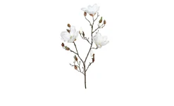 Magnolie 87 cm
