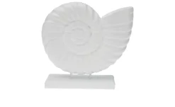 Muschel 19 cm