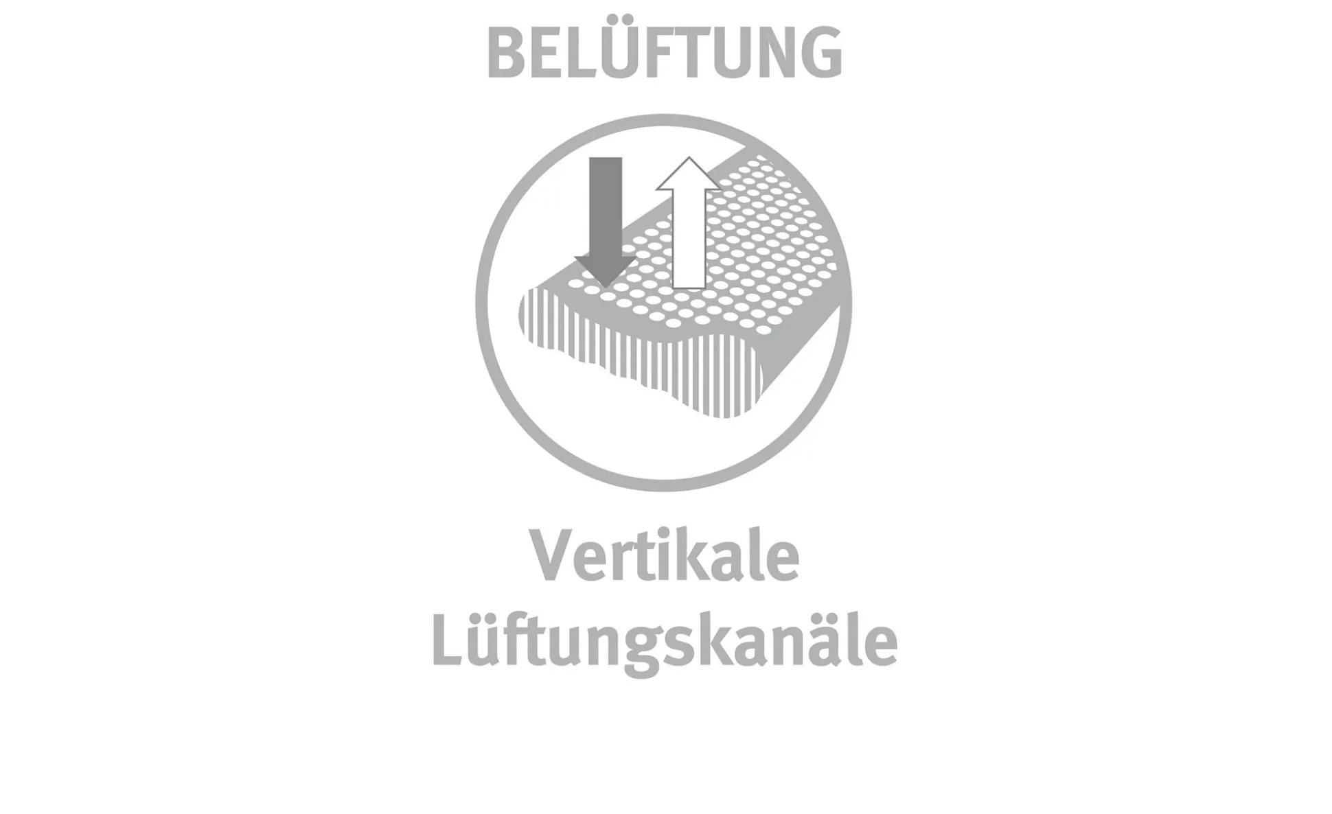 Nackenstützkissen Latex Vario Ergonomic 40 x 80 cm