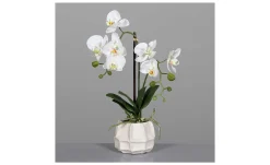 Orchidee 48 cm
