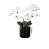Orchideen-Arrangement 70 cm