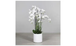 Orchideen-Arrangement 134cm