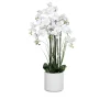Orchideen-Arrangement 120 cm
