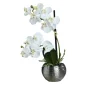 Orchidee-Phalaenopsis 30 cm