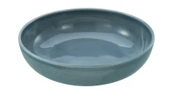 Poke Bowl Session 21 cm