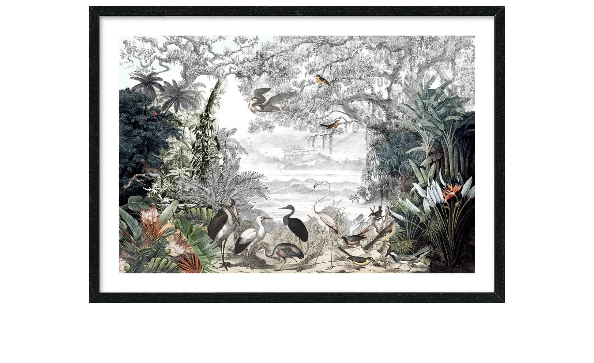 Rahmenbild Birds In The Jungle I 75 x 100 cm