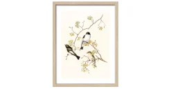 Rahmenbild Birds 33 x 43 cm