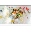 Rahmenbild Butterflies in the Face 60 x 130 cm