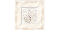 Rahmenbild Dried Fiber in the Wind 34 x 34 cm