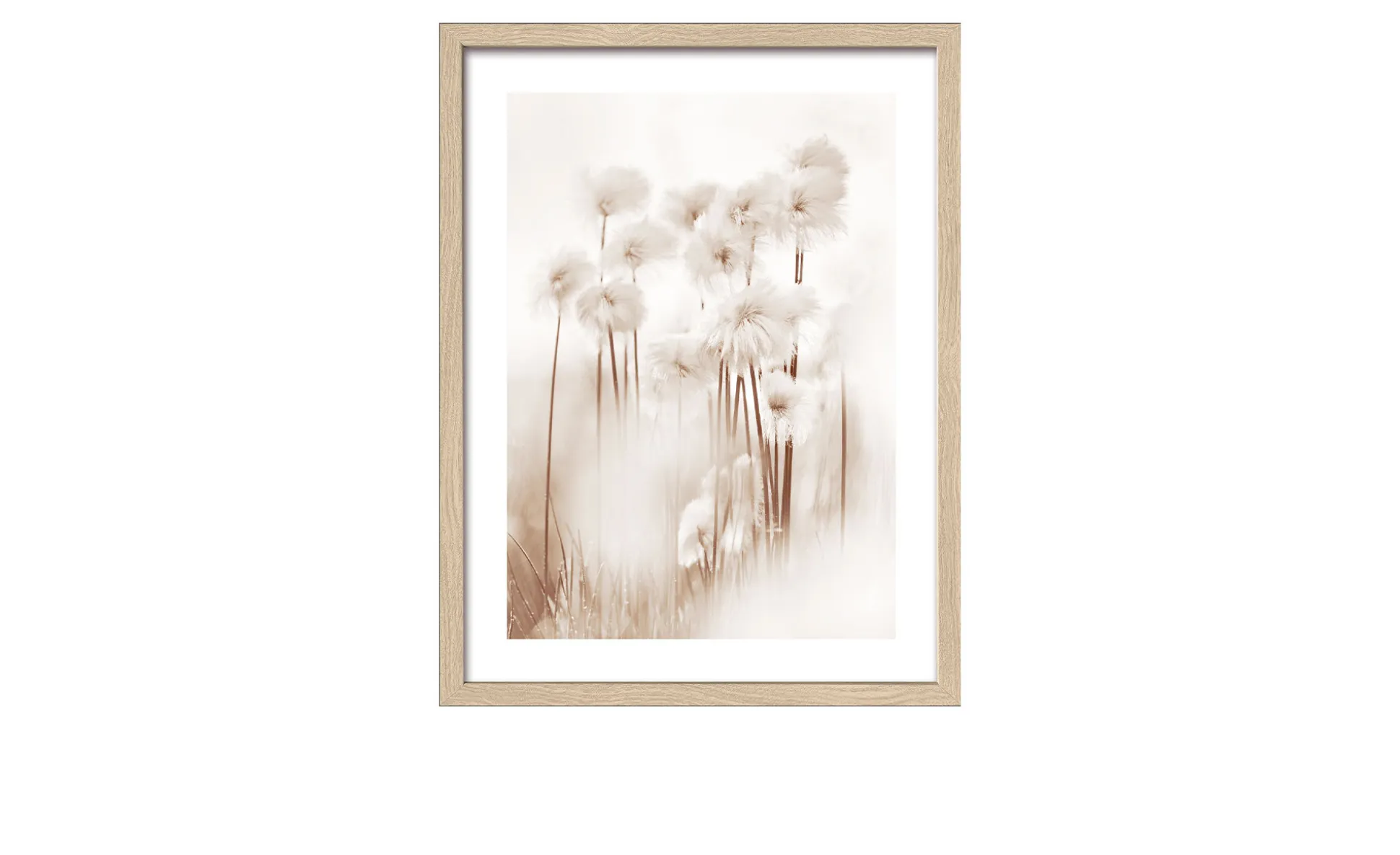 Rahmenbild Dried Fiber 33 x 43 cm