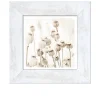 Rahmenbild Dried Poppies 44 x 44 cm