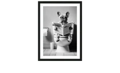 Rahmenbild Lustige Bulldogge 55 x 75 cm