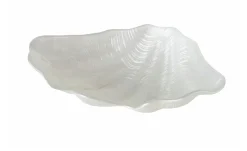 Schale Muschel Venus
