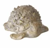Schildkröte Elysia