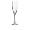 Sektglas Daily 200 ml