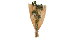 Trockenblumen Artischocke 22 x 5 x 55 cm