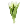 Tulpen Bund 31 cm