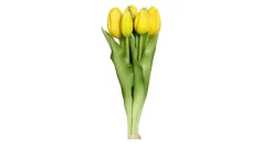 Tulpen Bund 31 cm