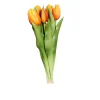 Tulpen Bund 31 cm