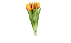 Tulpen Bund 31 cm