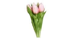 Tulpen Bund 31 cm