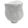 Vase Anemone