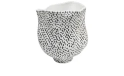 Vase Anemone