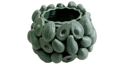 Vase Avocados