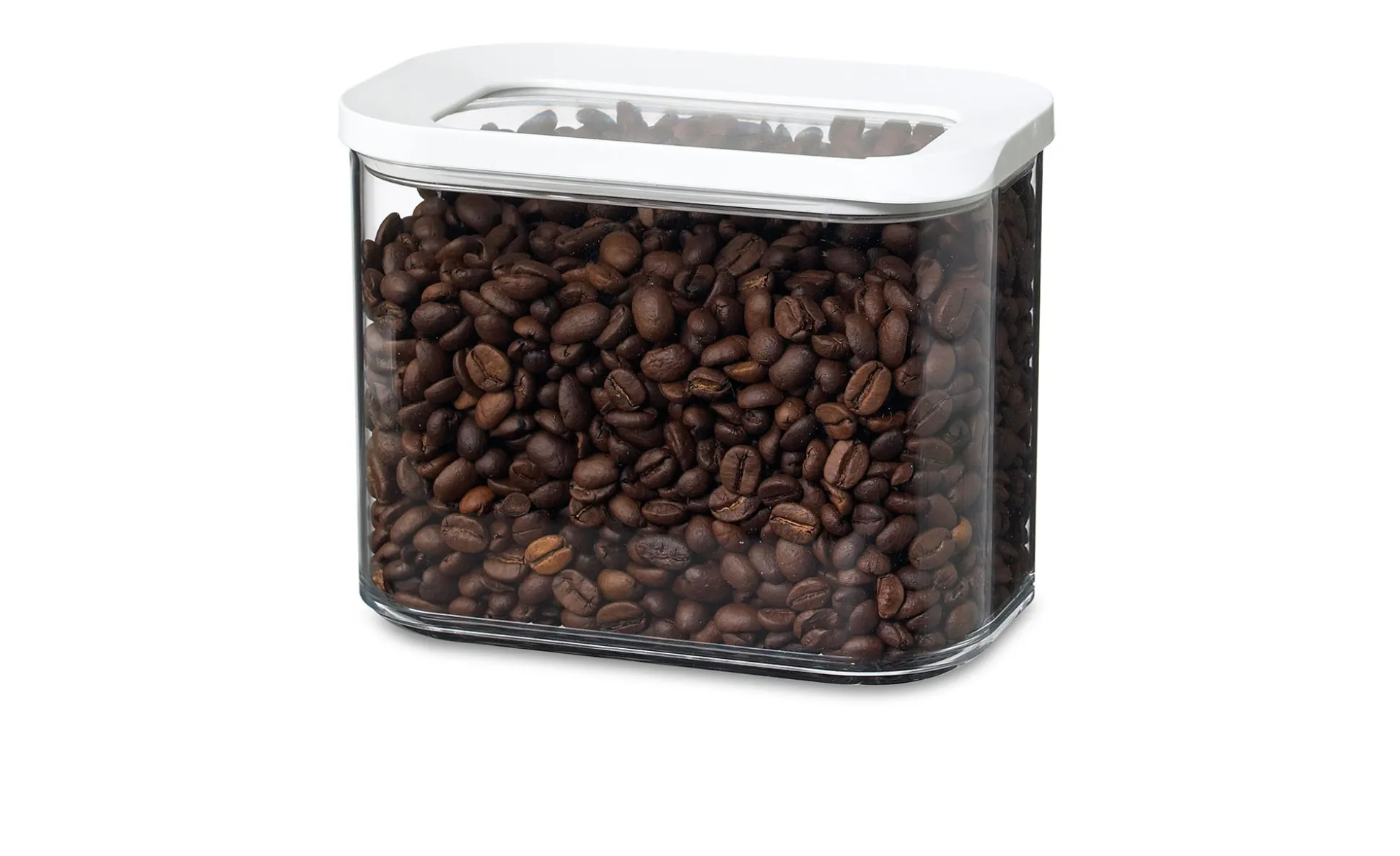 Vorratsdose Modula 1 l