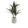 Yucca-Palme 43 cm